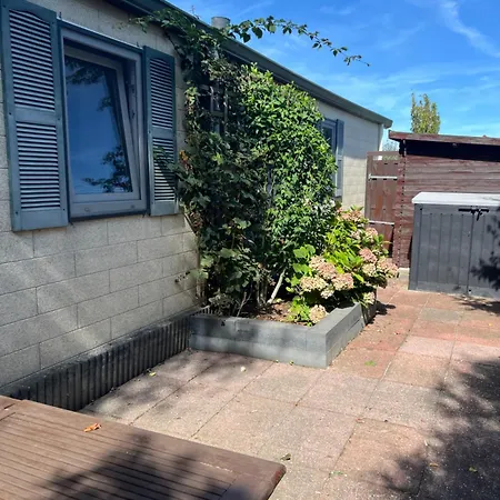 Dağ evi Chalet Hensbroek Hensbroek